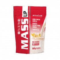 ActivLab Mass Up Gainer